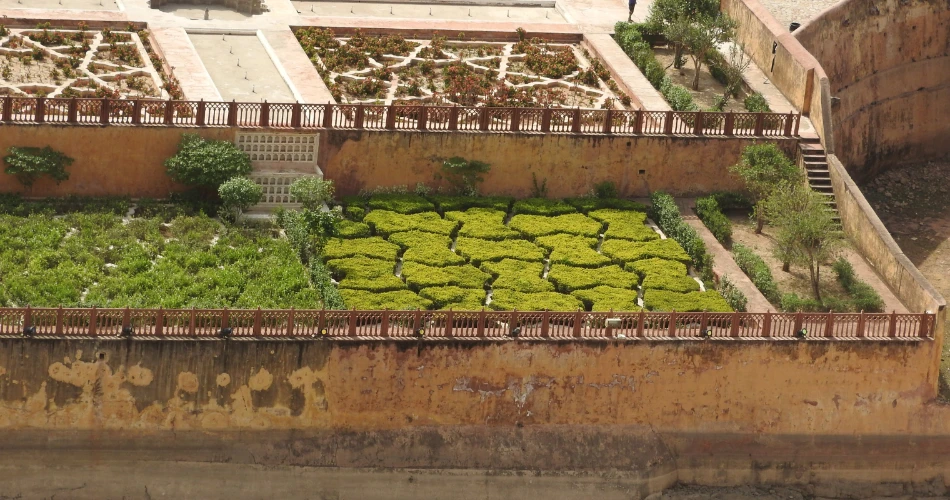 A Perfect 3-Day Itinerary for Exploring Jaipur Like a Local